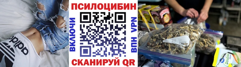 Псилоцибиновые грибы Cubensis  Амурск 